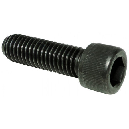 TORNILLO HAYEN 5X25