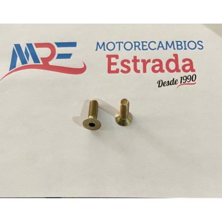 TORNILLO DISCO FRENO TRASERO DERBI 50 CC