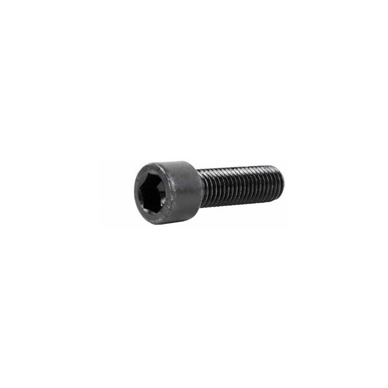 TORNILLO 6X20mm ALLEN