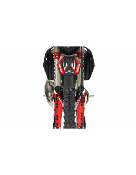 RIEJU MR PRO 300 CC